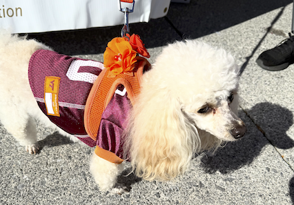 Bibi at the food drive